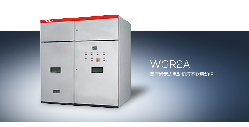 WGR2A高压鼠笼式电动机液态软启动柜
